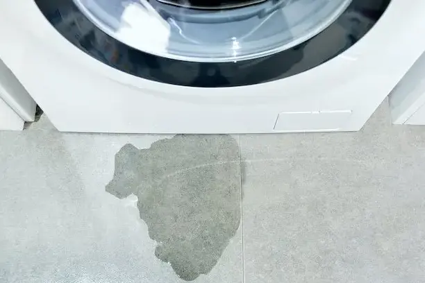 Water pooled on the floor in front of a leaking washing machine in Garden Grove