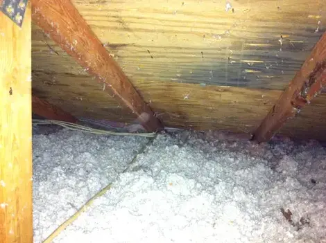 Water-stained roof sheathing and wet insulation in an attic in Garden Grove